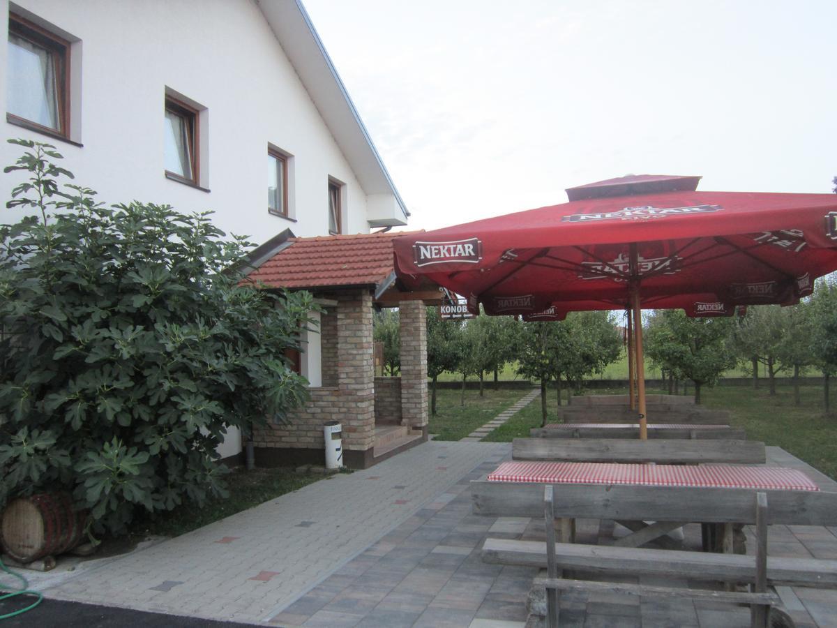 Pansion Laktasi Hostel Exterior foto